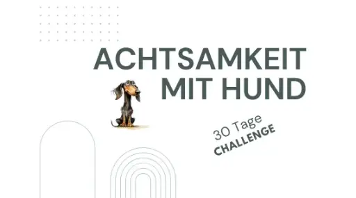 Achtsamkeit im Alltag mit Hund 